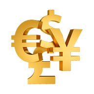 Multi-Currency Transactions